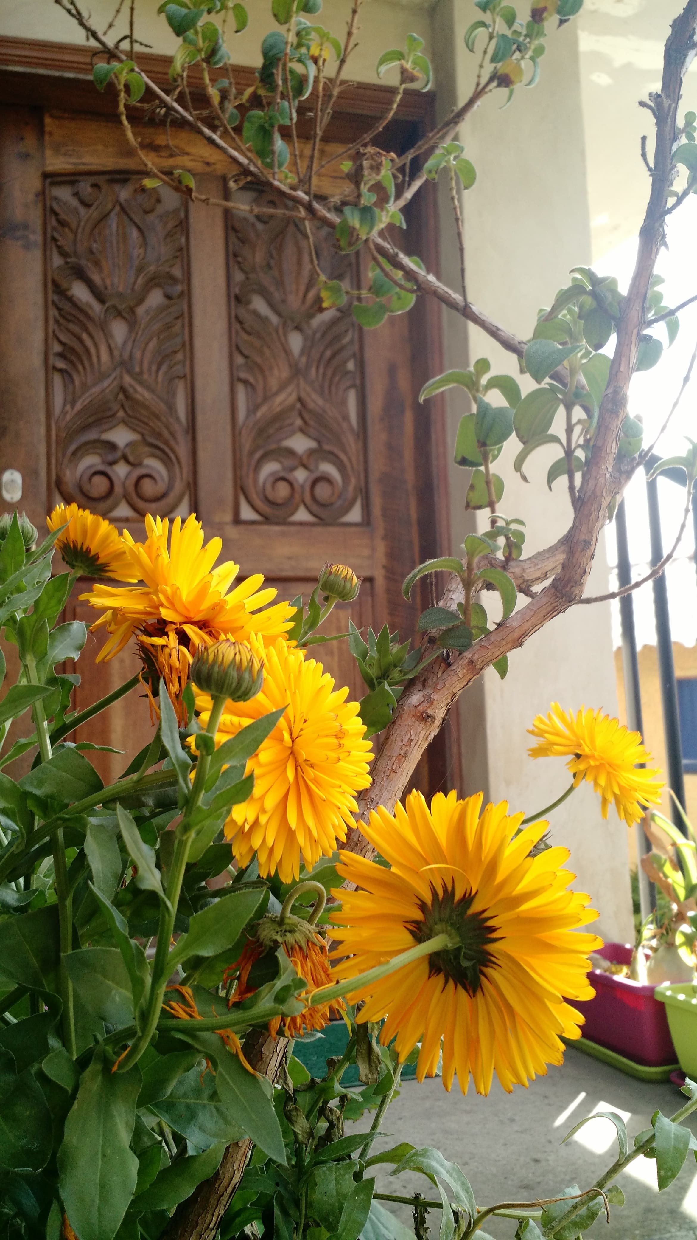 Apartamento en Arriendo en San Luis - Patios, Bogotá