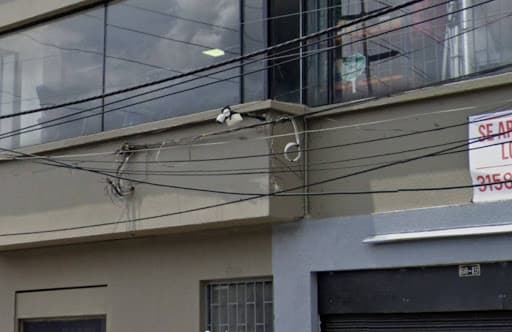 Apartamento en Arriendo en Alcazares, Bogotá